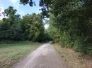 Entrée en forêt de Traconne